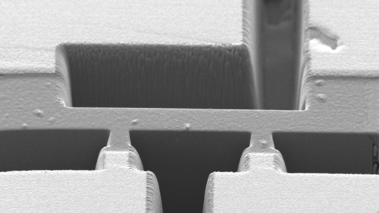 Headerbild mit Strukturen aus der Elektronenmikroskopie